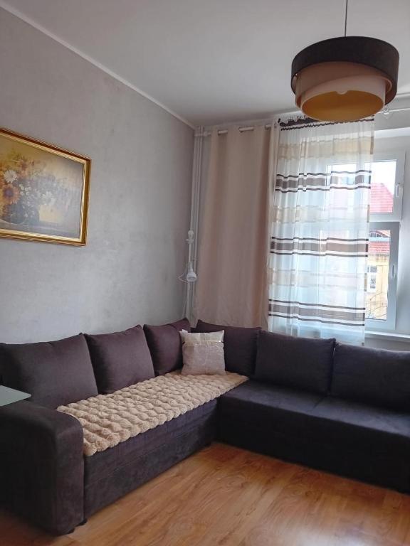Magnolia 1 Guest house Torun